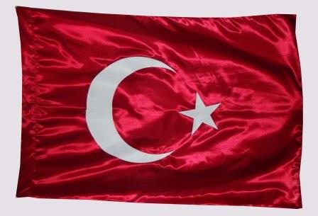 steag Turcia