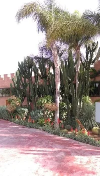 parc_agadir_din_maroc