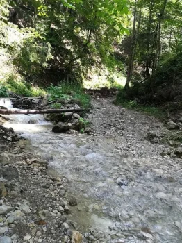 Canionul-7-scari-rau