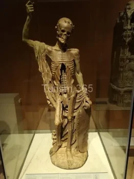 Muzeul_Louvre_imagini