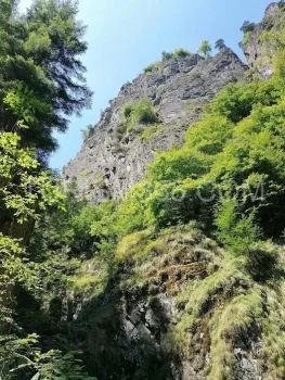 priveliste_traseu_de_la_valea_lui_stan