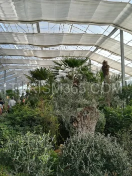 Balcic galerie foto bulgaria