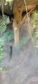 Vizita la Zoo de Beauvall din Franta, Cea mai mare gradina Zoo din Franta 3