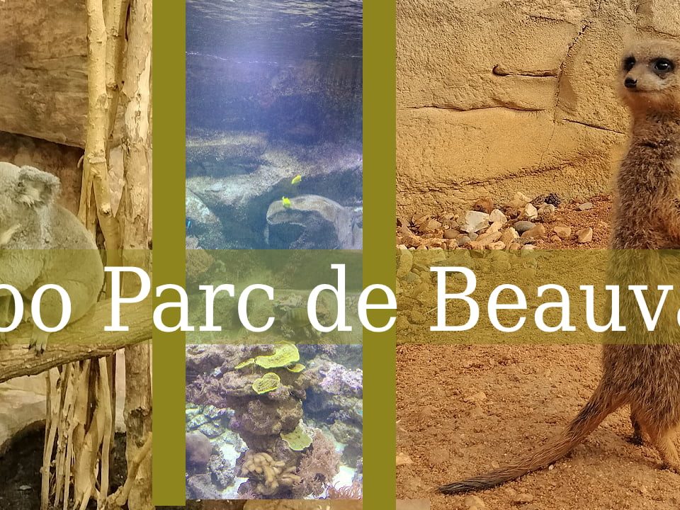 Vizita la Zoo de Beauvall din Franta, Cea mai mare gradina Zoo din Franta