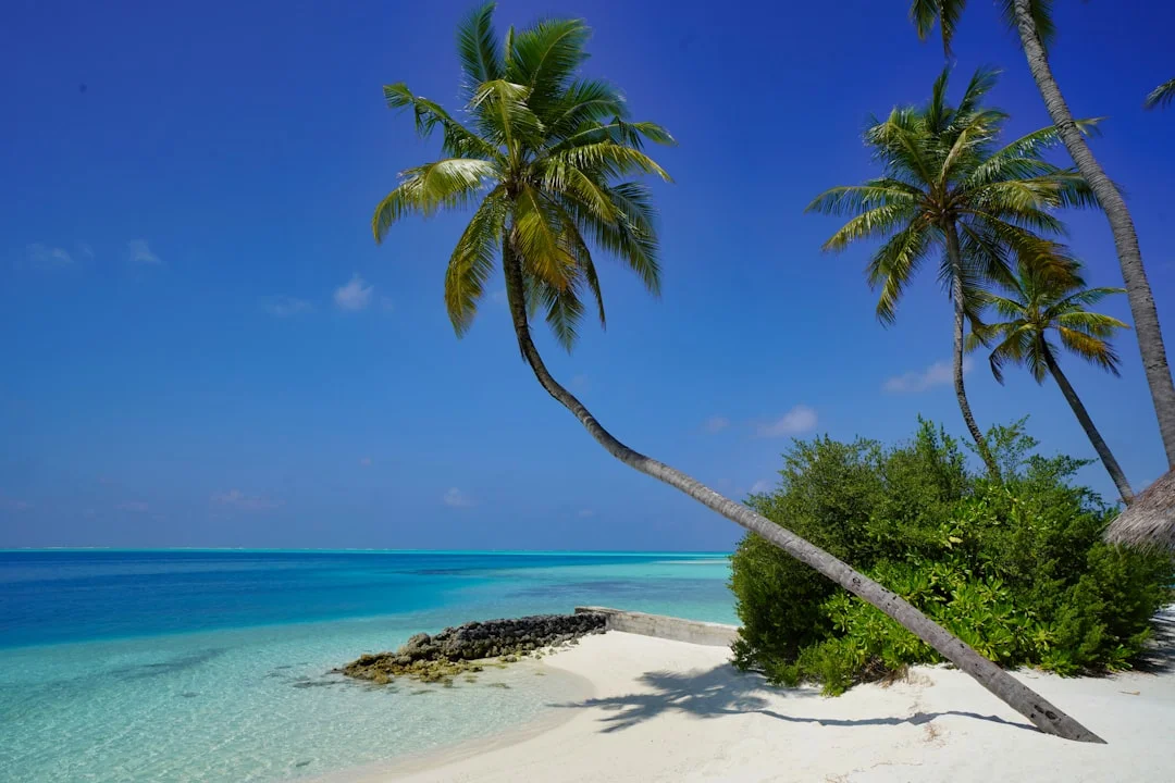 Vacanta thassos: o escapadă perfectă la mare